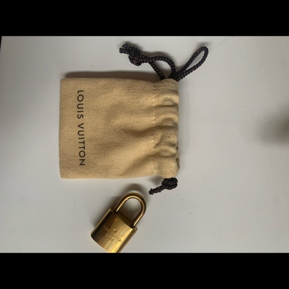 Beautiful Louis Vuitton Dog Carrier 50. Only used once. 19.5L x 9W x 13H. - Picture 5 of 10